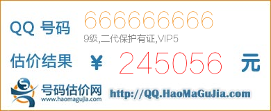 号码：666666666 估价/评估结果：245056元