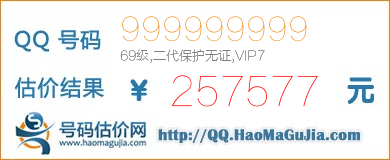 号码：999999999 估价/评估结果：257577元