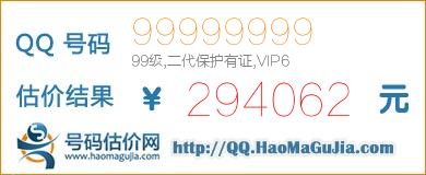 号码：99999999 估价/评估结果：294062元